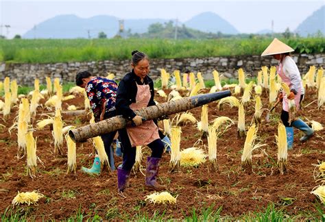 china encouraging movement to rural areas